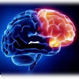داخلی مغز و اعصاب